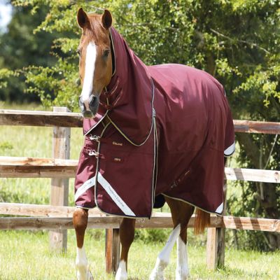 Premier Equine Buster 0 g Waterproof Outdoor Horse Blanket with Neck Cover