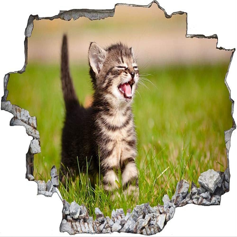 3D-Effect Self-Adhesive Wall Decal, Stone Wall Breakthrough Design, Cat Baby, 60 x 90 cm