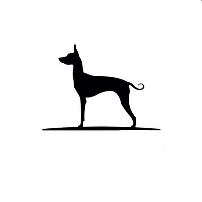 SUIFENG Car Sticker 16.8 cm x 12 cm Mexican Hairless Dog Vinyl Window Decal