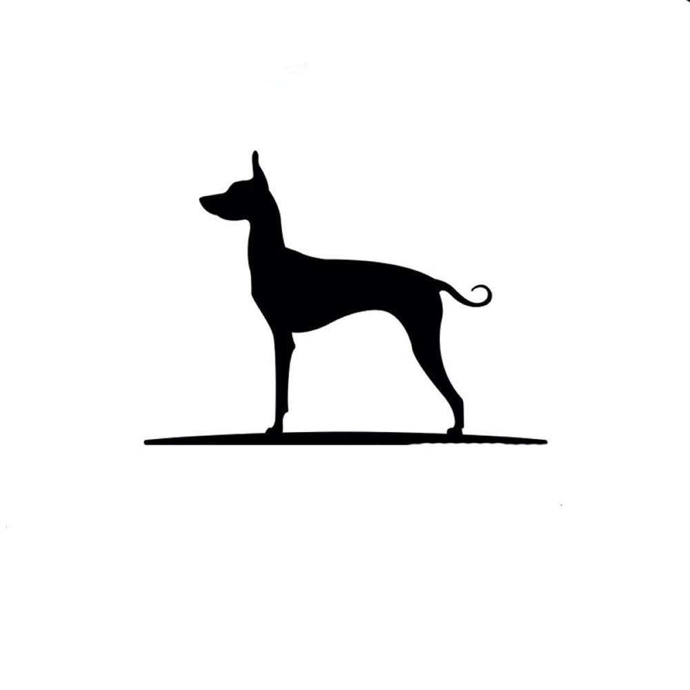 SUIFENG Car Sticker 16.8 cm x 12 cm Mexican Hairless Dog Vinyl Window Decal