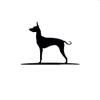 SUIFENG Car Sticker 16.8 cm x 12 cm Mexican Hairless Dog Vinyl Window Decal view 1