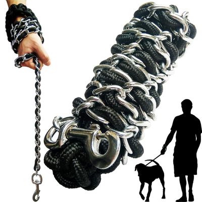 Heavy-Duty Metal Chain and Nylon Dog Leash Set, Silver, Large