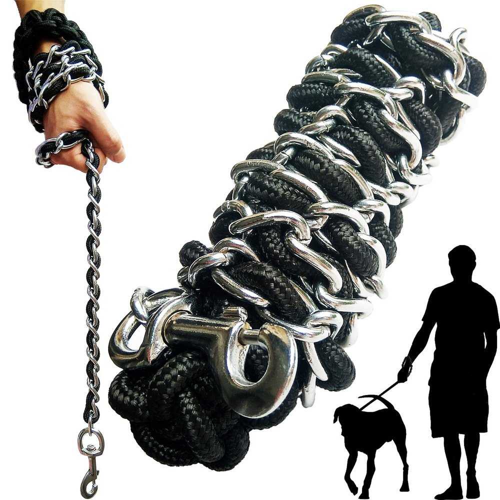 Heavy-Duty Metal Chain and Nylon Dog Leash Set, Silver, Large