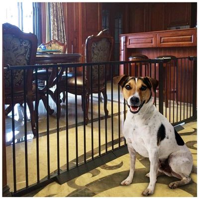 DZDZXQG Baby Safety Gate for Stairs, Dog Gate, No-Drill Safety Gate, Pet Isolation Gate for Indoor Railings (Height: 78 cm, Size: 159–166 cm)