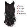 RemeeHi Invisible Fish-Line Hair Extensions, 100 g, 22 in, Wavy, Long Remy Human Hair, Chestnut Brown 30# view 2