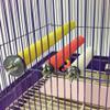 Bird Cage Claw-Grinding Perches, 10-Pack view 3