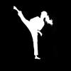 SUIFENG 3.86 x 5.16 in Karate Kick Martial Arts Vinyl Car Decal, Black/Silver view 1