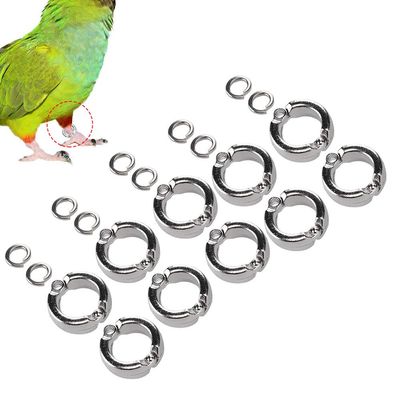 Alloy Parrot Training Foot Rings, 7 Sizes