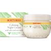 Burt's Bees Sensitive Night Cream 50 g view 1
