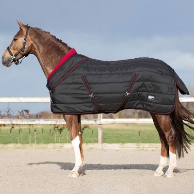 QHP Luxury Stable Blanket, 200 g Fill, Fleece Collar, Cross Surcingles, Black, 145 cm