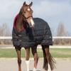 QHP Luxury Stable Blanket, 200 g Fill, Fleece Collar, Cross Surcingles, Black, 145 cm view 2