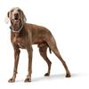 HUNTER Freestyle Eiby Training Collar for Dogs view 3