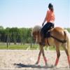 Equiband Equicore Concepts Complete System, Regular Size, Full Horse view 3