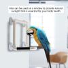 03 Portable Parrot Shower Perches for Cockatiels and Parrots view 3