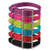 Ancol Viva Dog Collar, Adjustable, Weatherproof, Blue Buckle, Size 5 view 4