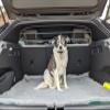 ERGOTECH Dog Guard for Volkswagen ID.3 (from 2020), RDA65HBG-2HXXS8 kvw044 view 3
