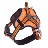 Martin Sellier ARKA Dog Harness, M, Orange view 1