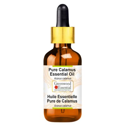 Greenwood Essential Pure Calamus Essential Oil (Acorus calamus), Steam-Distilled, 15 ml (0.50 oz)