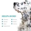 Nausx Motion Sickness Prevention & Relief for Large Dogs view 4