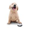Alinana 2 Pack Pet Training Bells for Dogs and Cats view 2