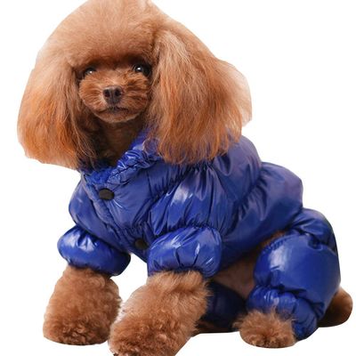 Warm Winter Dog Jacket for Small Dogs, Royal Blue, XS