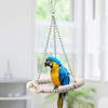 DEWIN Parrot Training Toy view 2