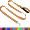 Taglory Dog Leash with Padded Handle view 1