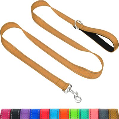 Taglory Dog Leash with Padded Handle