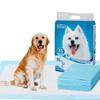 Nobleza Ultra-Absorbent Puppy Training Pads, 90 × 80 cm, 10-Pack view 1