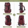 PETCUTE Dog Carrier Backpack with Side Mesh, for Small and Medium Dogs and Cats up to 5 kg, Red view 4