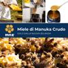 Manuka New Miel DE Manuka MONOFLORAL MGO 550+ 250 g, Standard, One view 4