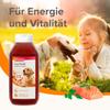 beaphar Salmon Oil for Dogs and Cats - Energy and Vitality - Ideal for BARF Diet - Supports Heart, Skin, and Coat - With Omega 3 and Omega 6 - Daily Vitamin Enjoyment - 430ml view 2