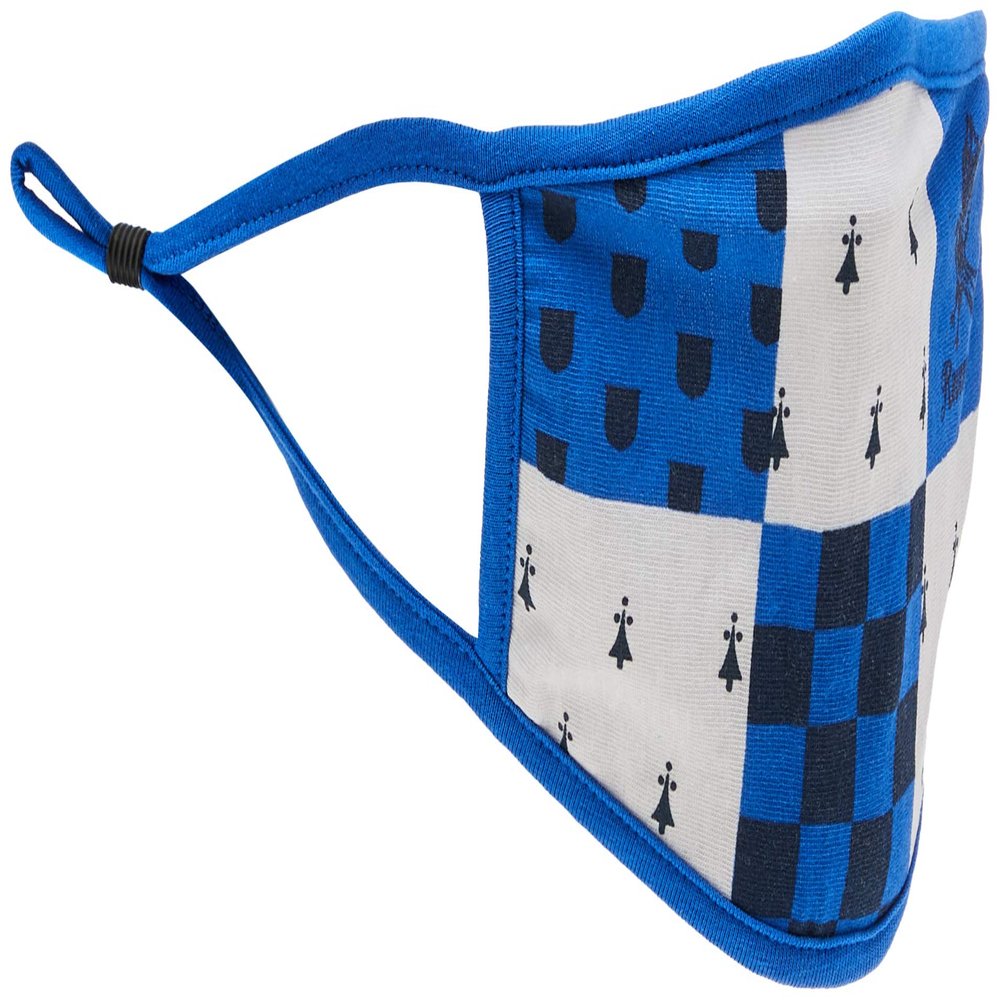 Pyramid International Harry Potter Ravenclaw Face Coverings, Unisex, One Size
