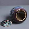 Aurora Pattern Ceramic Ash Urn for Humans or Pets, Size B view 3
