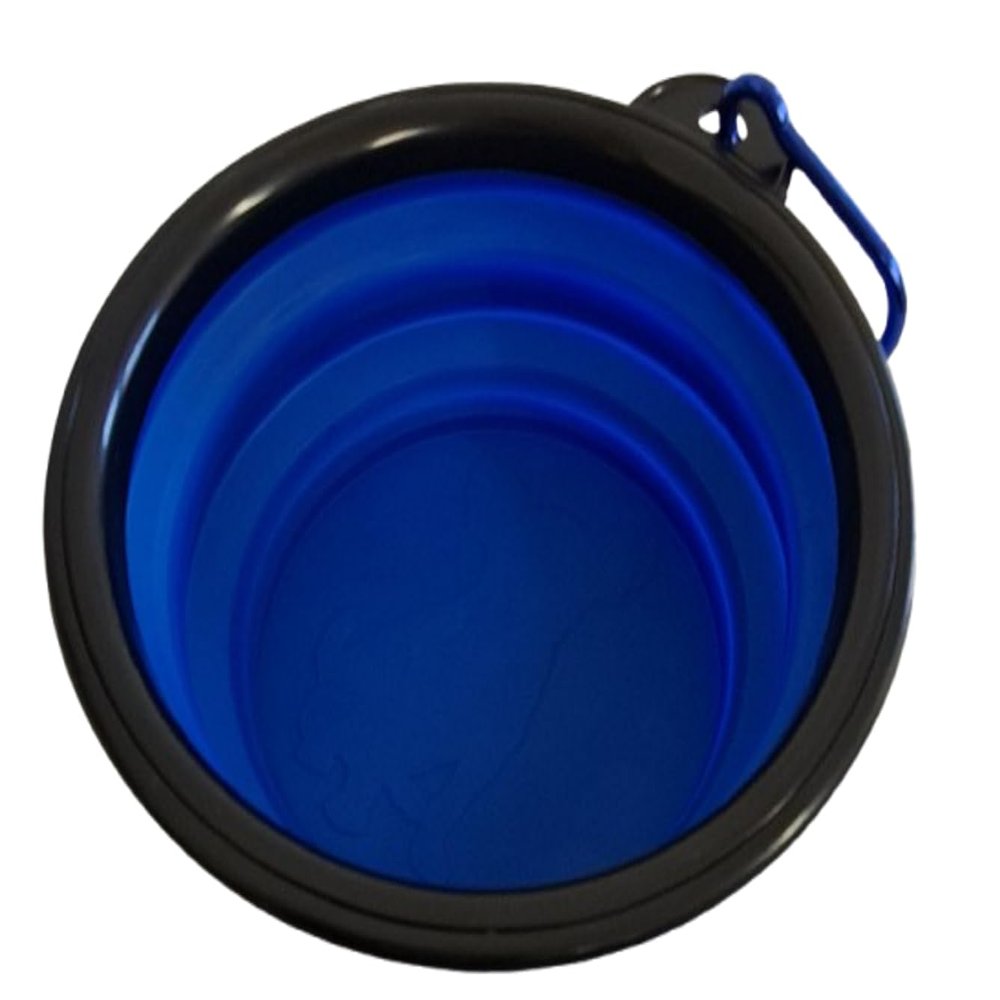 Foldable Food Bowl | Travel Bowl | Portable Food Bowl | Plastic Travel Bowl for Dogs & Cats (Blue)