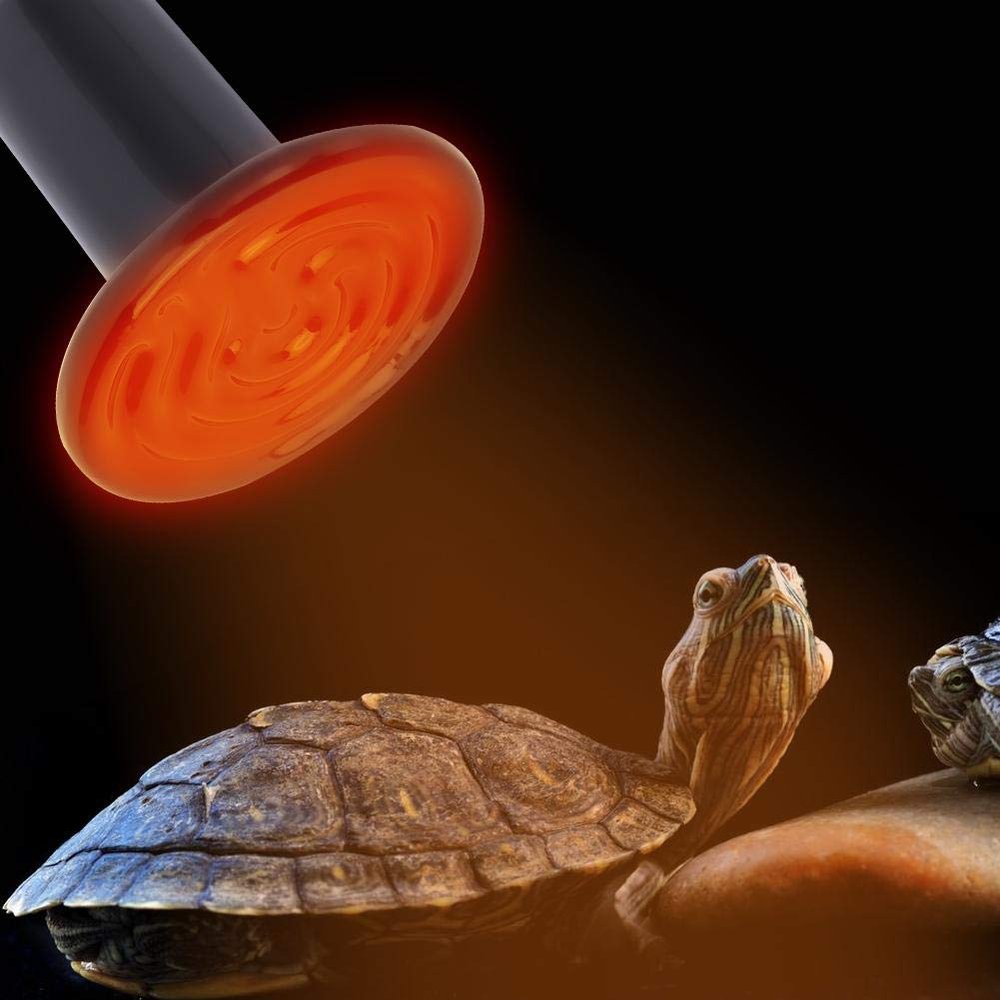 Redxiao E27 Ceramic Heat Lamp for Reptiles, 200 W