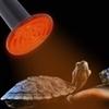 Redxiao E27 Ceramic Heat Lamp for Reptiles, 200 W view 1