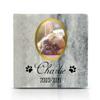 TULLUN Personalized Gray Natural Marble Pet Memorial Stone, 10 x 10 cm, Gold-Frame Photo view 1
