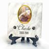 TULLUN Personalized White Natural Marble Pet Memorial Stone with Stand, 4 x 4 in, Gold-Frame Photo view 1