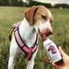 SmoothieDog Sensitivo 6-Pack (Horse) Dog Smoothie - Hypoallergenic Treat for Sensitive Dogs - Sugar- and Gluten-Free - 250 ml Each view 3