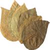 Dennerle Shrimp King Dadap Leaves - Premium Food for Shrimp and Crustaceans (10 pcs) view 2