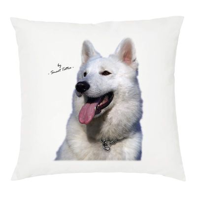 Tipolitografia Ghisleri Pillow, 40 x 40 cm, Dogs, Cats, Fish and Horses, with 411 Polyester Filling