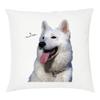 Tipolitografia Ghisleri Pillow, 40 x 40 cm, Dogs, Cats, Fish and Horses, with 411 Polyester Filling view 1