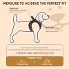 PUPTECK Adjustable Dog Harness Set with Collar and Leash, Beige, S view 2