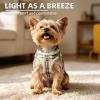 PUPTECK Adjustable Dog Harness Set with Collar and Leash, Beige, S view 3