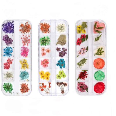 Dried Nail Flowers Set, 3 Boxes, Multicolor