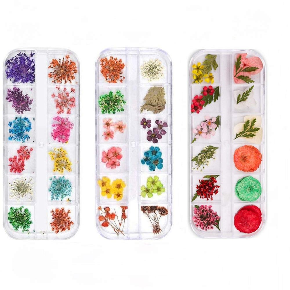 Dried Nail Flowers Set, 3 Boxes, Multicolor