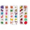 Dried Nail Flowers Set, 3 Boxes, Multicolor view 1