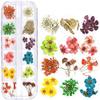 Dried Nail Flowers Set, 3 Boxes, Multicolor view 2