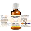 Greenwood Essential Pure Sugandha Kokila Essential Oil (Cinnamomum glaucescens), Steam-Distilled, 100 ml x 2 (6.76 fl oz) view 2